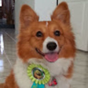 Meet your Posher, Steph